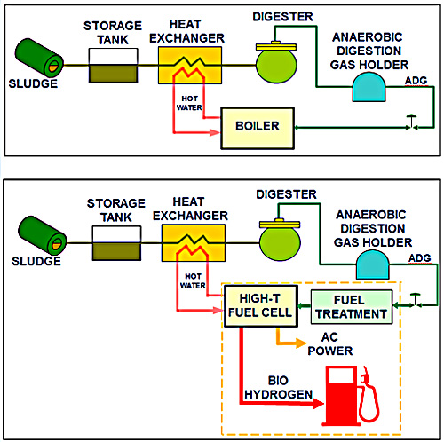 Biogas Can Fuel Both Power and Transport
