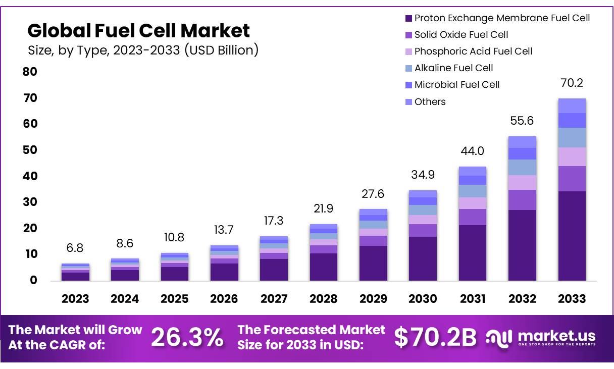 PEM Segment Dominates Fuel Cell Growth