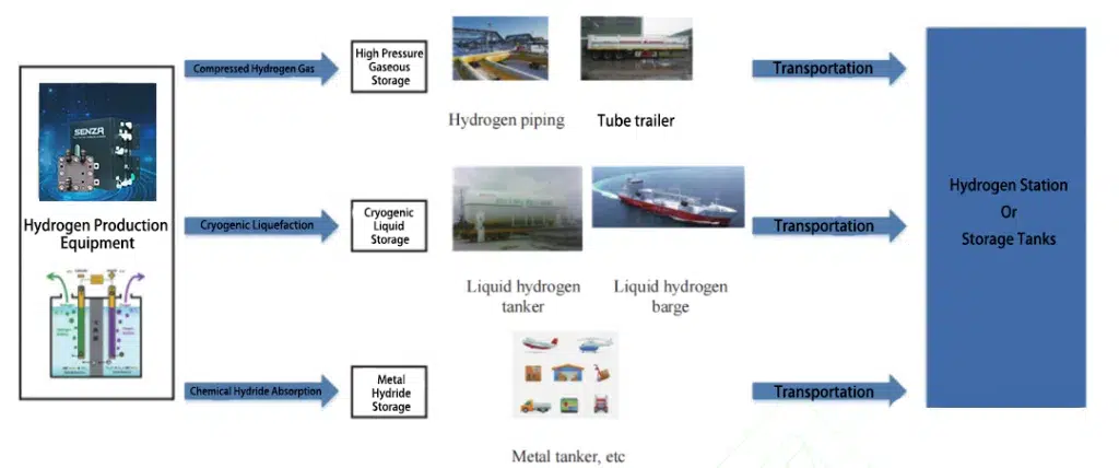 Visualizing Hydrogen's Distribution Pathways