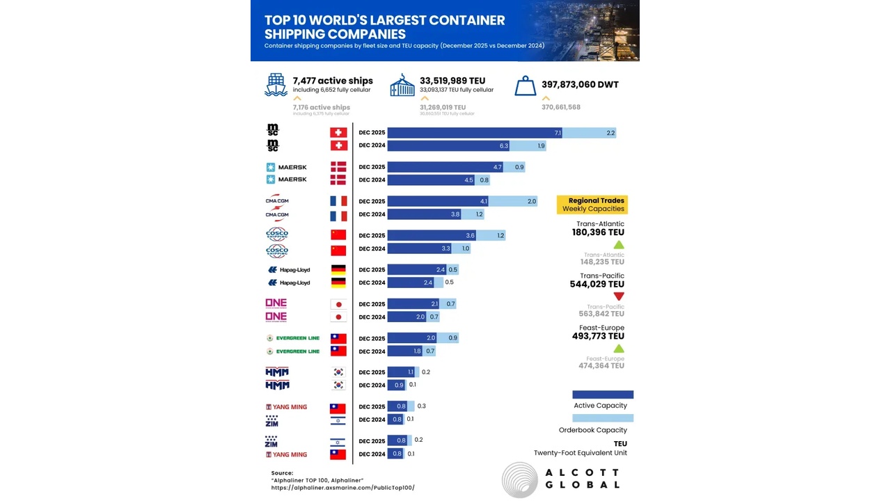 Infographic showing the top 10 container shipping companies with logos, country flags, and horizontal capacity bars.