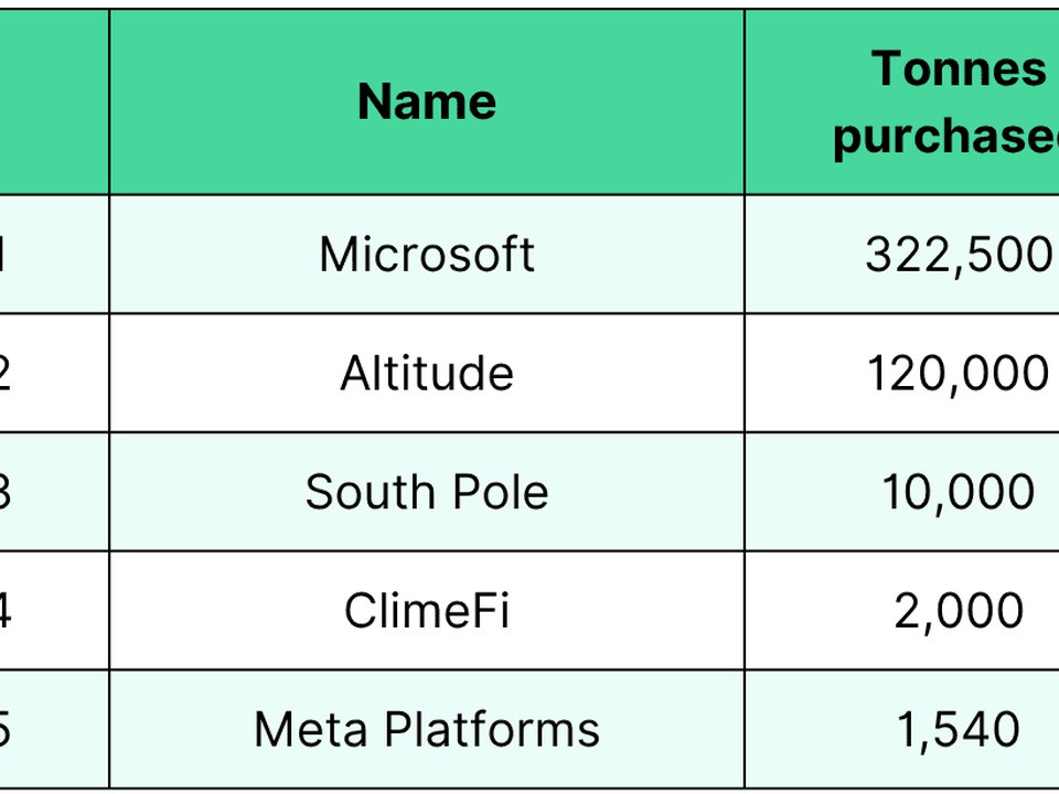 Table listing five companies and their purchased tonnes: Microsoft 322,500; Altitude 120,000; South Pole 10,000; ClimeFi 2,000; Meta Platforms 1,540.