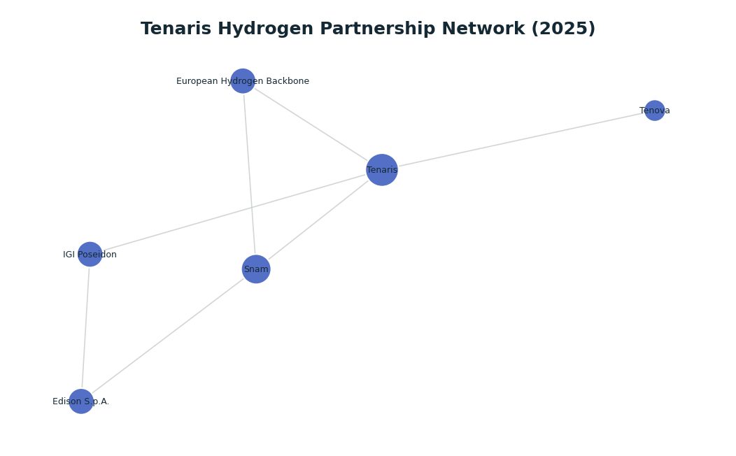 Network graph: Tenaris Hydrogen Partnership Network (2025)